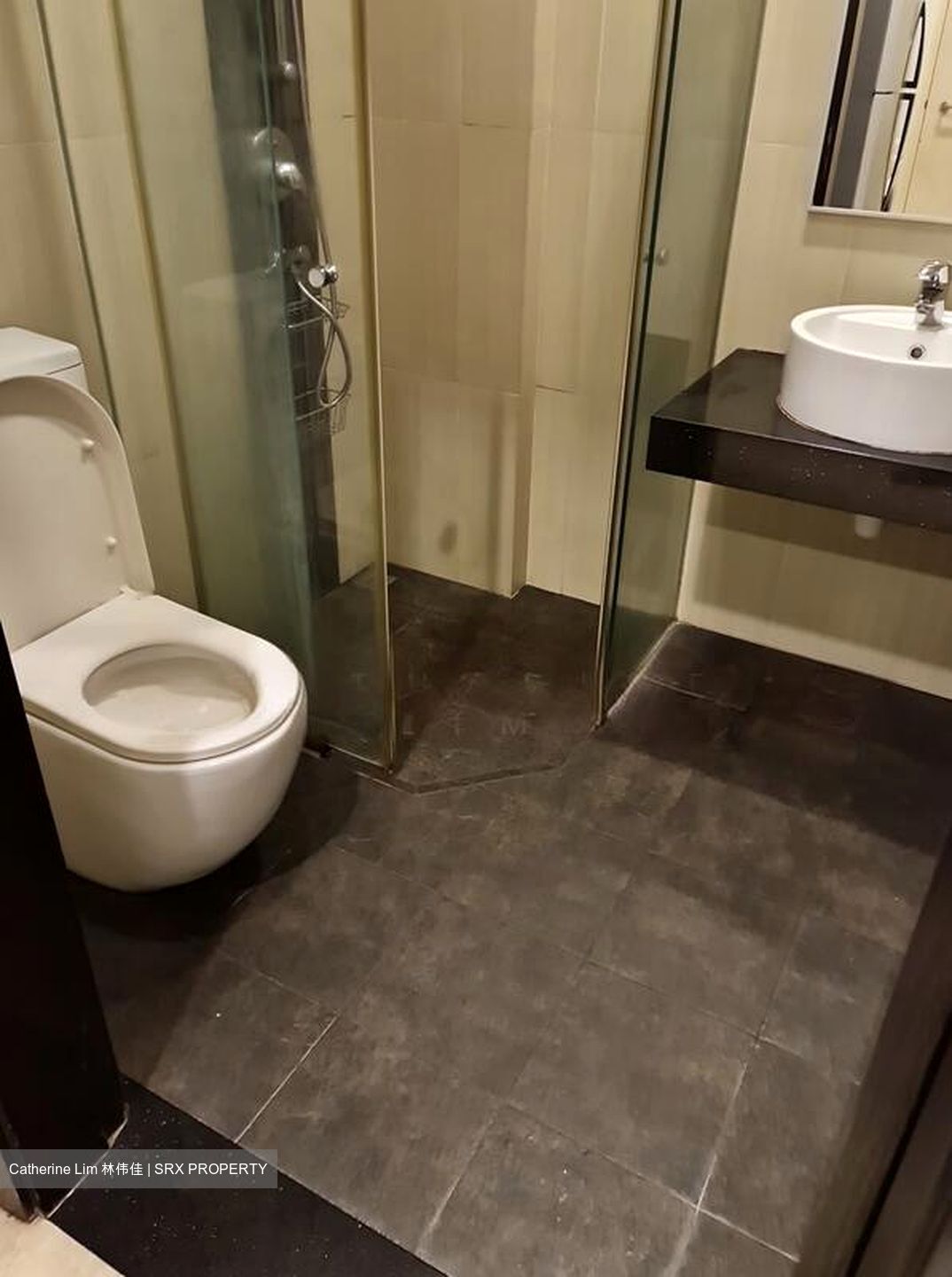 Cardiff Residence (D19), Condominium #524700381